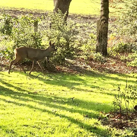 Maison Du Golf Le Havre Etretat