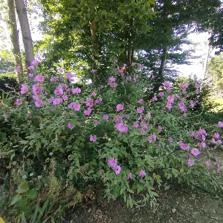 Maison Du Golf Le Havre Etretat * Octeville-sur-Mer