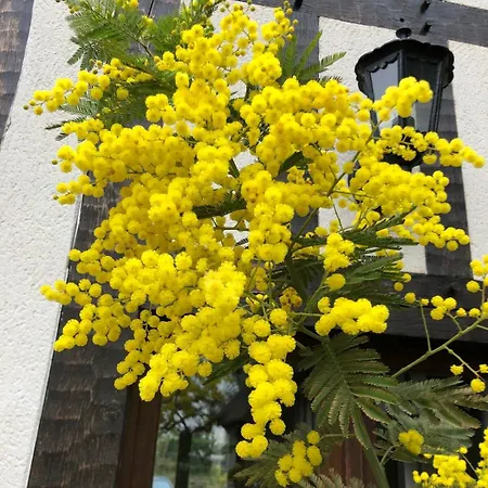 Maison Du Golf Le Havre Etretat Villa
