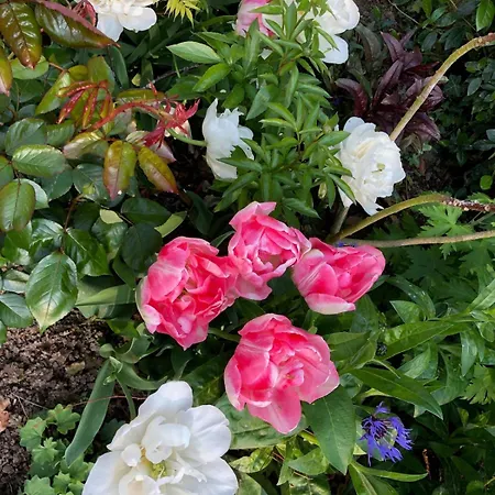 Villa Maison Du Golf Le Havre Etretat