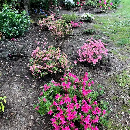 Maison Du Golf Le Havre Etretat * Octeville-sur-Mer