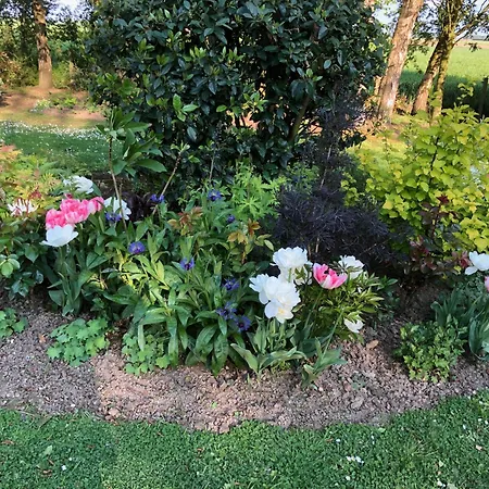 Villa Maison Normande De Charme Premium Golf Et Balneo & Jardin Le Havre Etretat Honfleur 3 *