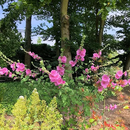 Maison Normande De Charme Premium Golf Et Balneo & Jardin Le Havre Etretat Honfleur 3 Villa Octeville-sur-Mer
