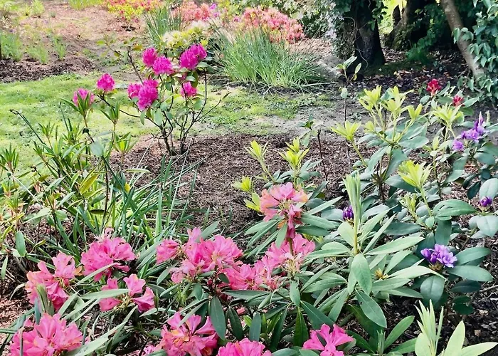 Maison Normande De Charme Premium Golf Et Balnéo&jardin Le Havre étretat Honfleur 3 Octeville-sur-Mer