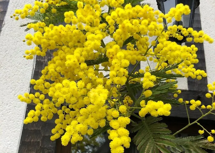 Maison Normande De Charme Premium Golf Et Balnéo&jardin Le Havre étretat Honfleur 3 Villa