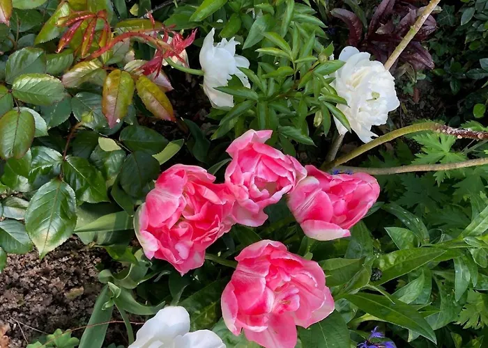 Villa Maison Normande De Charme Premium Golf Et Balnéo&jardin Le Havre étretat Honfleur 3