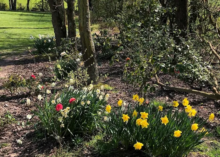 Villa Maison Normande De Charme Premium Golf Et Balnéo&jardin Le Havre étretat Honfleur 3 *