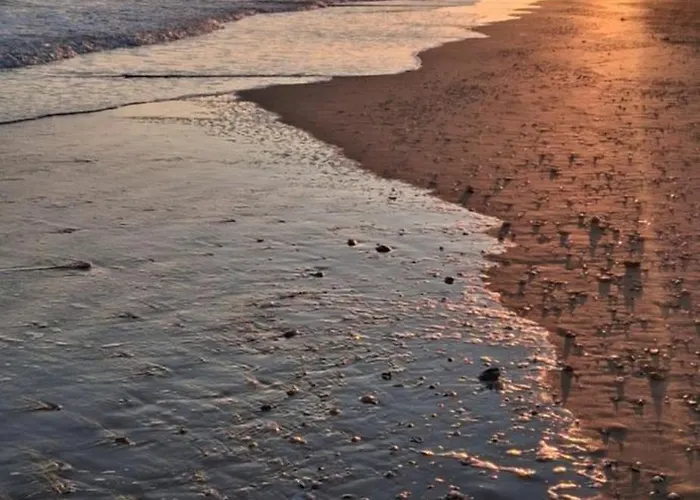 Maison Normande De Charme Premium Golf Et Balnéo&jardin Le Havre étretat Honfleur 3 Villa *